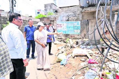 పారిశుద్ధ్య పనులు చేపట్టండి
