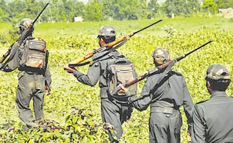 Encounter In Alluri District