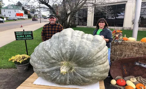 Wykus Lamprecht of Meyerton pumpkin of 867kg smashes record13