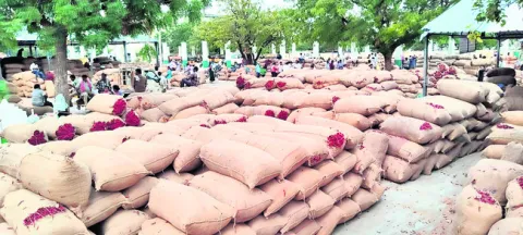 మిర్చి ధర పతనం
