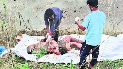 ఏలేరు కాలువలో పడి ఎలక్ట్రీషియన్‌ మృతి  