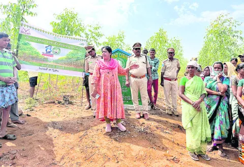 నీలగిరి వనాలతో లాభాలు