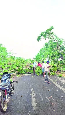 భారీ 