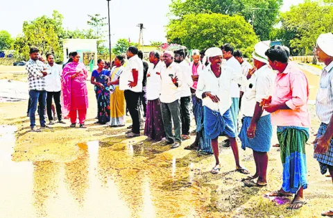 ● జగి