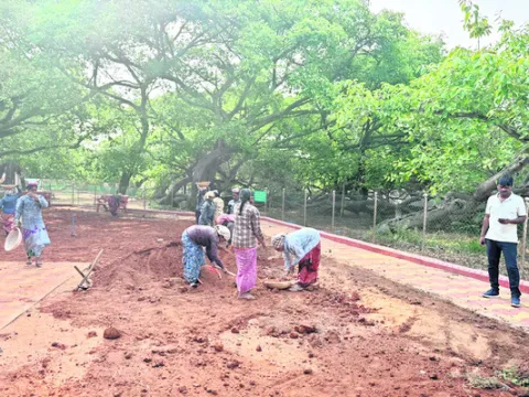 పిల్లలమర్రిలో ఏర్పాట్లు 
