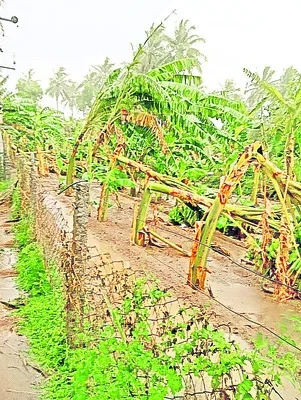 పలమనే
