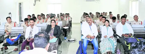 దర్యా