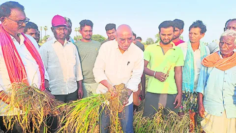 ‘రైతులను పట్టించుకోని సర్కార్‌’