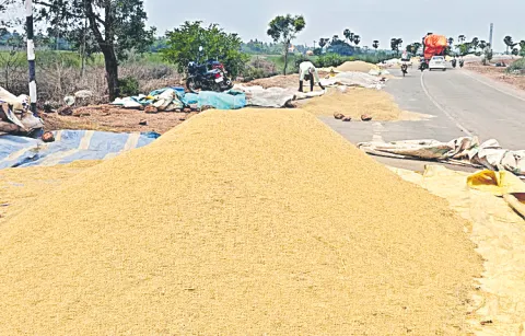 Sakshi Special Story on Grain Procurement Across the State