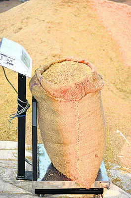 కొనుగోళ్లలో జాప్యం