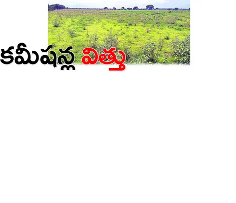 విత్త