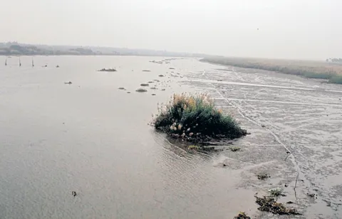 Upputeru  is the main drain for Kolleru