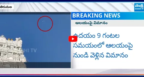 Plane Flies Over Tirumala Temple Again 4