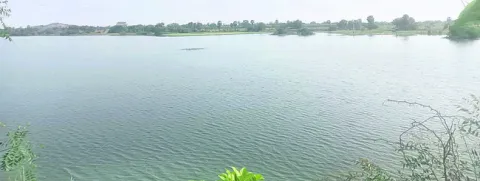 కరువు