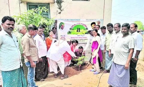 పంట మార్పిడితో సుస్థిర ఆదాయం