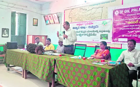 ఆయిల్‌ పామ్‌ సాగుతో  అధిక దిగుబడి 
