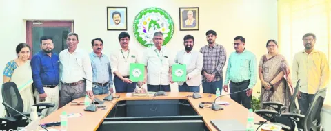ఏఐతో పంట తెగుళ్ల గుర్తింపు