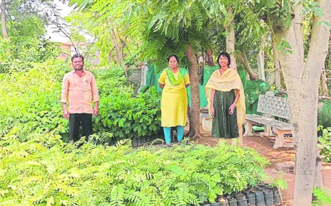 మొక్కల సంరక్షణలో నిర్లక్ష్యం వద్దు 