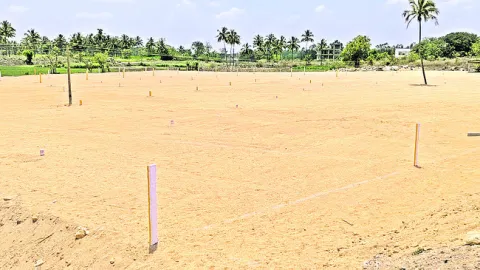 స్కెచ