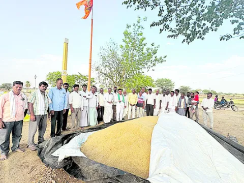 జొన్నలు కొనుగోలు చేయాలి