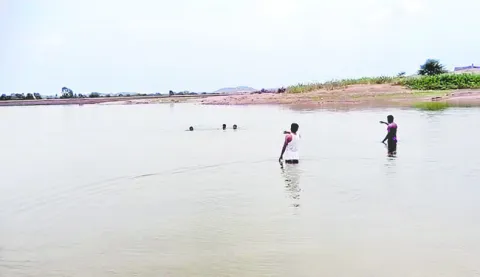 హల్దీ