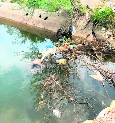 ఆశల ద