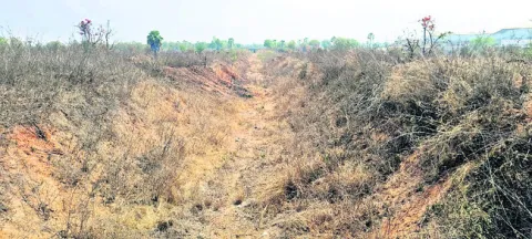 బునాద