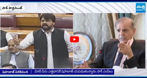 Pakistani MP Serious Comments on PM Shahbaz Sharif 1