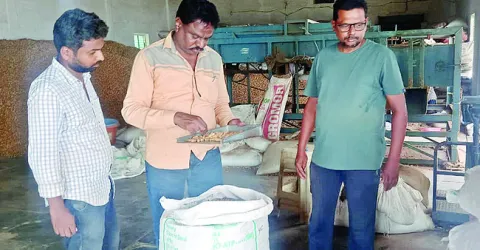 నాణ్యమైన విత్తనం సిద్ధం చేయండి 