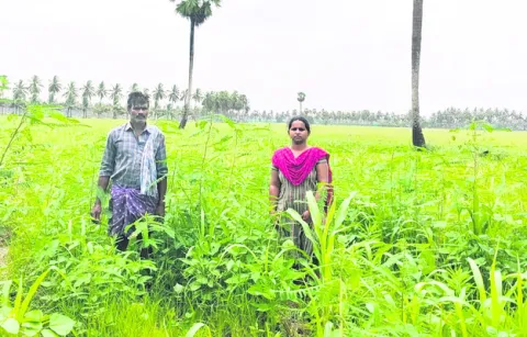 నవధాన