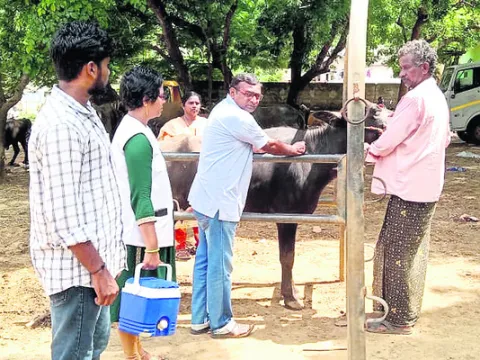 వ్యాధ