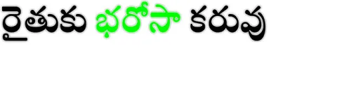  ● అన