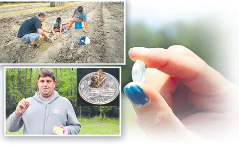 The World's Only Public Diamond Mine 