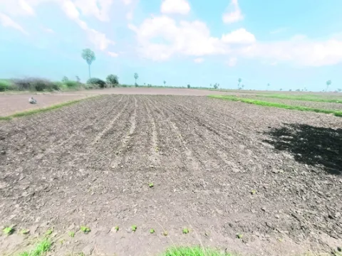 ఒక్క వాన కోసం 
