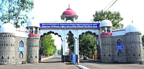 వర్సిటీల విలీనానికి సర్కార్‌ ముందడుగు 