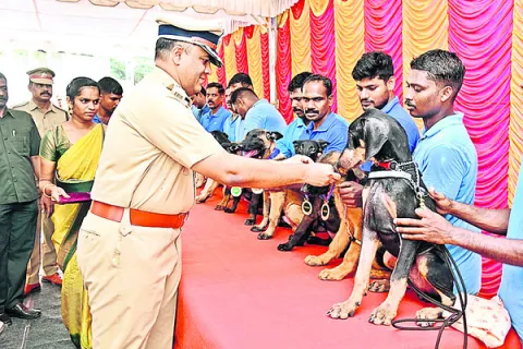 గ్రేటర్‌ చైన్నె పోలీసులోకి 11 శునకాలు 