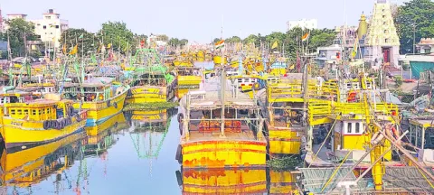 అలల దారిలో..వేటబాటలో..