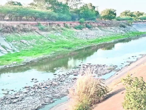 నల్లగ