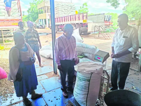 నేటి నుంచి  విత్తన వేరుశనగ పంపిణీ 