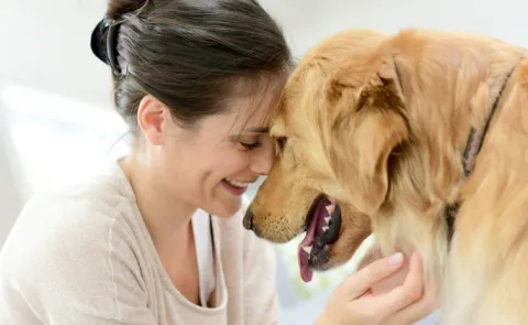 Mars x Calm Survey Reveals How Pets boots Mental Health 