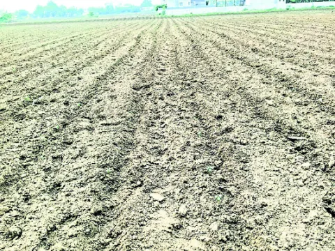 పత్తాలేని వర్షాలు