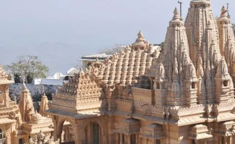 Only city in the world non-veg banned, even tourists deets inside 12