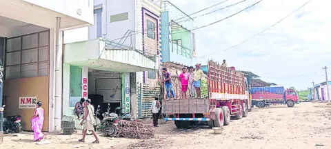 Mango Market