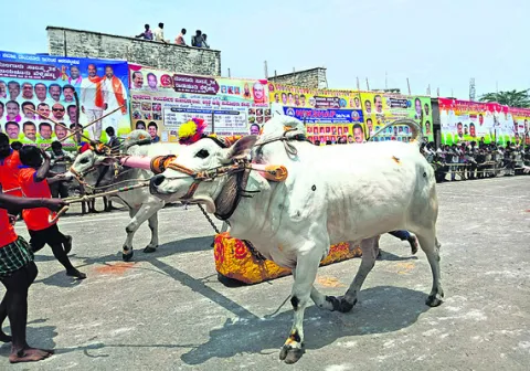 గ్రామ