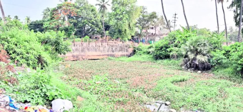 డ్రెయ