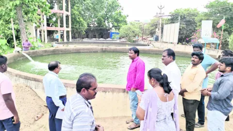 గ్రామ