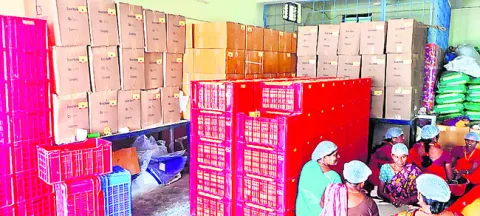 లడ్డూల మిస్సింగ్‌పై చర్యలేవీ! 
