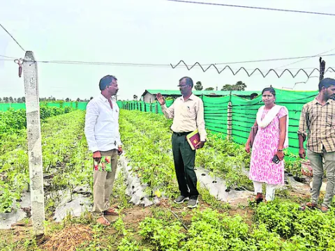 ఆయిల్‌పామ్‌ సాగుపై దృష్టి పెట్టాలి