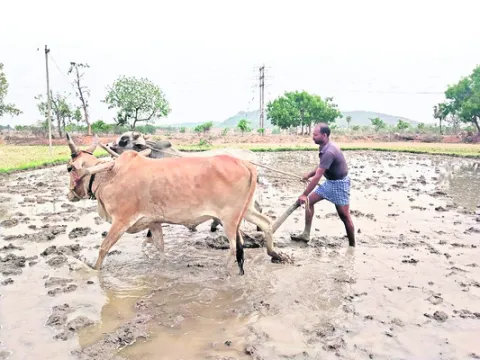 నేడే 