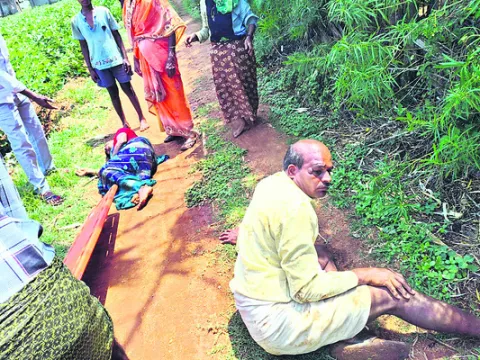 టీడీప